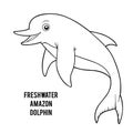 Coloring book, Freshwater Amazon dolphin Royalty Free Stock Photo