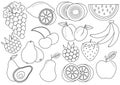 Coloring book. Fruits and berries cartoon. Icons. Vector