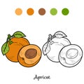 Coloring book: fruits and vegetables (apricot) Royalty Free Stock Photo
