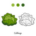 Coloring book: fruits and vegetables (cabbage)