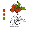 Coloring book: fruits and vegetables (cranberries)