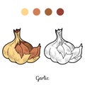 Coloring book: fruits and vegetables (garlic)