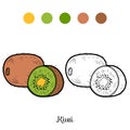 Coloring book: fruits and vegetables (kiwi)