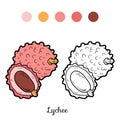 Coloring book: fruits and vegetables (lychee)