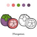 Coloring book: fruits and vegetables (mangosteen)