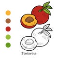 Coloring book: fruits and vegetables (nectarine) Royalty Free Stock Photo