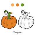 Coloring book: fruits and vegetables (pumpkin) Royalty Free Stock Photo