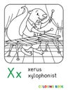 Xerus xylophonist ABC coloring book. Alphabet X