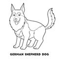 Coloring book, German shepherd dog