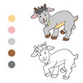 Coloring book (goat) Royalty Free Stock Photo