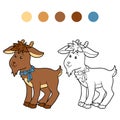 Coloring book (goat)