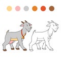 Coloring book (goat mother) Royalty Free Stock Photo