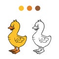 Coloring book (goose, chick)