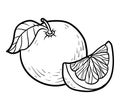 Coloring book, Grapefruit