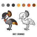 Coloring book, Grey crowned crane