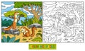 Coloring book (ground squirrel, xerus)