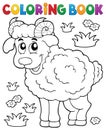 Coloring book happy ram Royalty Free Stock Photo