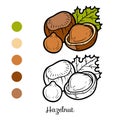 Coloring book, Hazelnut