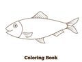 Coloring book herring fish cartoon illustration