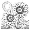 Coloring book illustration sunflowers kawaii coloring page