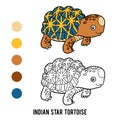 Coloring book, Indian star tortoise Royalty Free Stock Photo