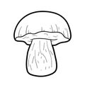 Coloring book. Inedible mushrooms, boletus