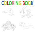 Coloring book with insect collection