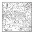 Coloring book (jaguar), illustration (letter J)