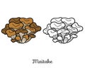 Coloring book. Japanese edible mushrooms, maitake