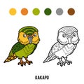 Coloring book, Kakapo parrot