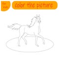 coloring book for kids farm animal horse