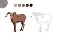 coloring book for kids farm animal, mountain goat, coloring book by colors Royalty Free Stock Photo