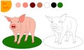 coloring book for kids farm animal pig, coloring book by colors