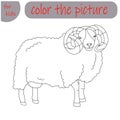 coloring book for kids farm animal, ram Royalty Free Stock Photo