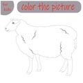 coloring book for kids farm animal, sheep Royalty Free Stock Photo