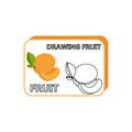 coloring book for kids with fruit peaches vector