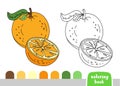 Coloring Book for Kids Orange Page for Book Magazine Coloring Vector Illustration Royalty Free Stock Photo