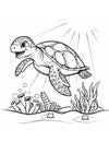 coloring book for kids sea turtle swimming in water Royalty Free Stock Photo