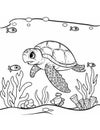 coloring book for kids sea turtle swimming in water Royalty Free Stock Photo