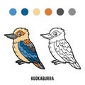 Coloring book, Kookaburra