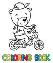 Coloring book of little funny bear on bicycle Royalty Free Stock Photo