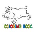 Coloring book of little funny boar or wild pig