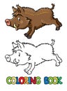 Coloring book of little funny boar or wild pig