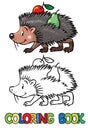 Coloring book of little funny hedgehog