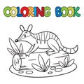 Coloring book of little numbat Royalty Free Stock Photo