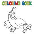 Coloring book of little quail