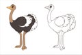 Coloring book: Long-legged cute ostrich stands with its neck extended, page for children. Vector, cartoon Royalty Free Stock Photo