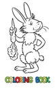 Coloring book of lttle funny hare or rabbit