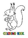 Coloring book of lttle funny squirrel
