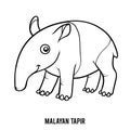 Coloring book, Malayan tapir